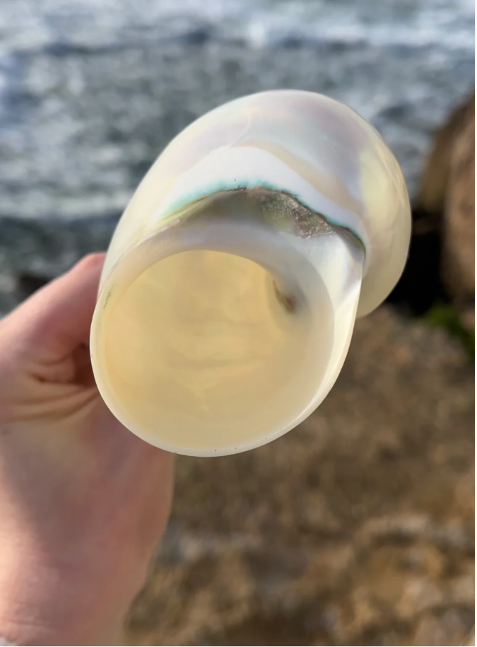 Mermaid Shell Wine Glass